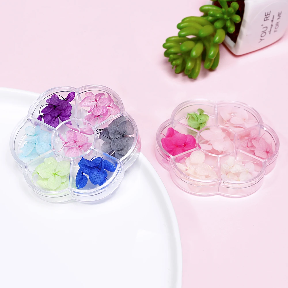 6 цветов/коробка 3D сушеный цветок натуральный маленький лист цветочный стикер