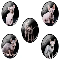 tafree flat back oval glass cabochons black sphynx cat pictures findings 18x25 mm hot 5picslot best pet lovers jewelry ca229