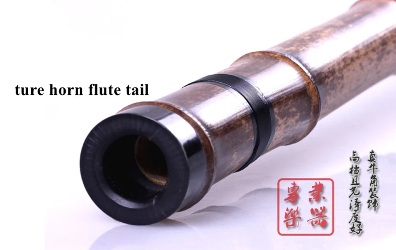 Китайская Вертикальная флейта XIAO not DIZI Bamboo Flauta Профессиональный музыкальный Instrumen flauta de bambu 3 секции туры рога xiao tail