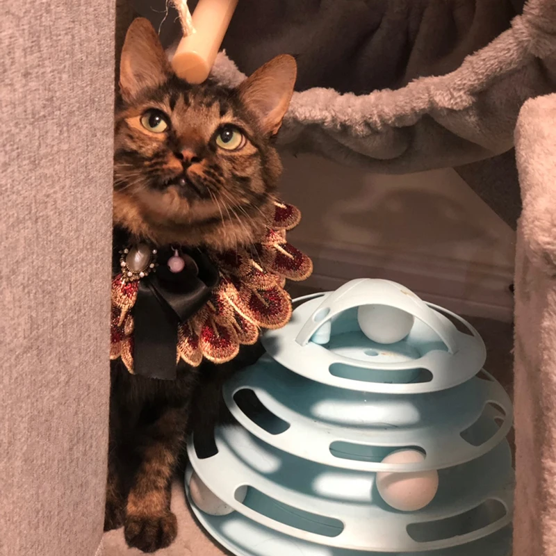 Аксессуары для домашних животных ошейник ручной работы маленьких собак собачий