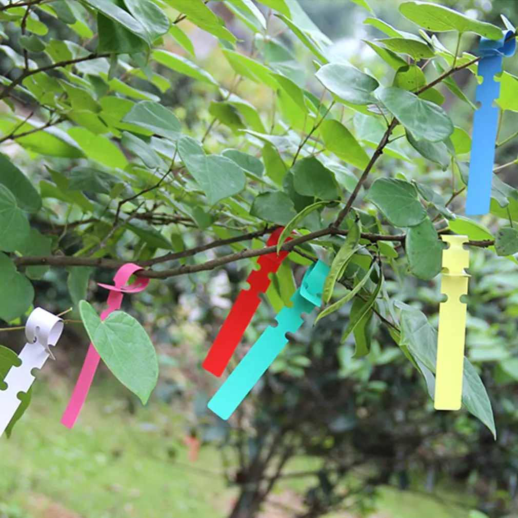 

Plastic Plant Tree Label Garden Label Wrap-around Hanging Label Seedling Label Practical Gardening Lable Set