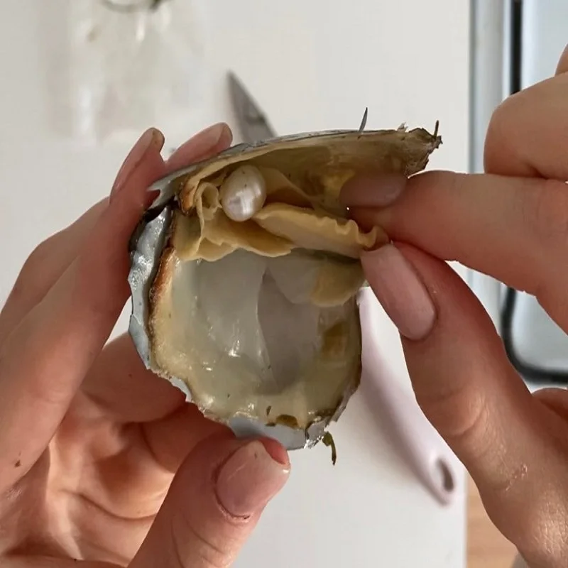 Oysters настоящий жемчуг подарок ожерелье подвеска индивидуальная упаковка