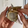Изображение товара 1
