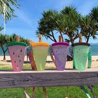 summer plastic straw water cup watermelon popsicle water cup lovely fruit mug children portable carrying cup
