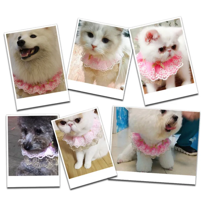 Ошейник для кошек принцесса кружевной цветок модный шарф домашних животных