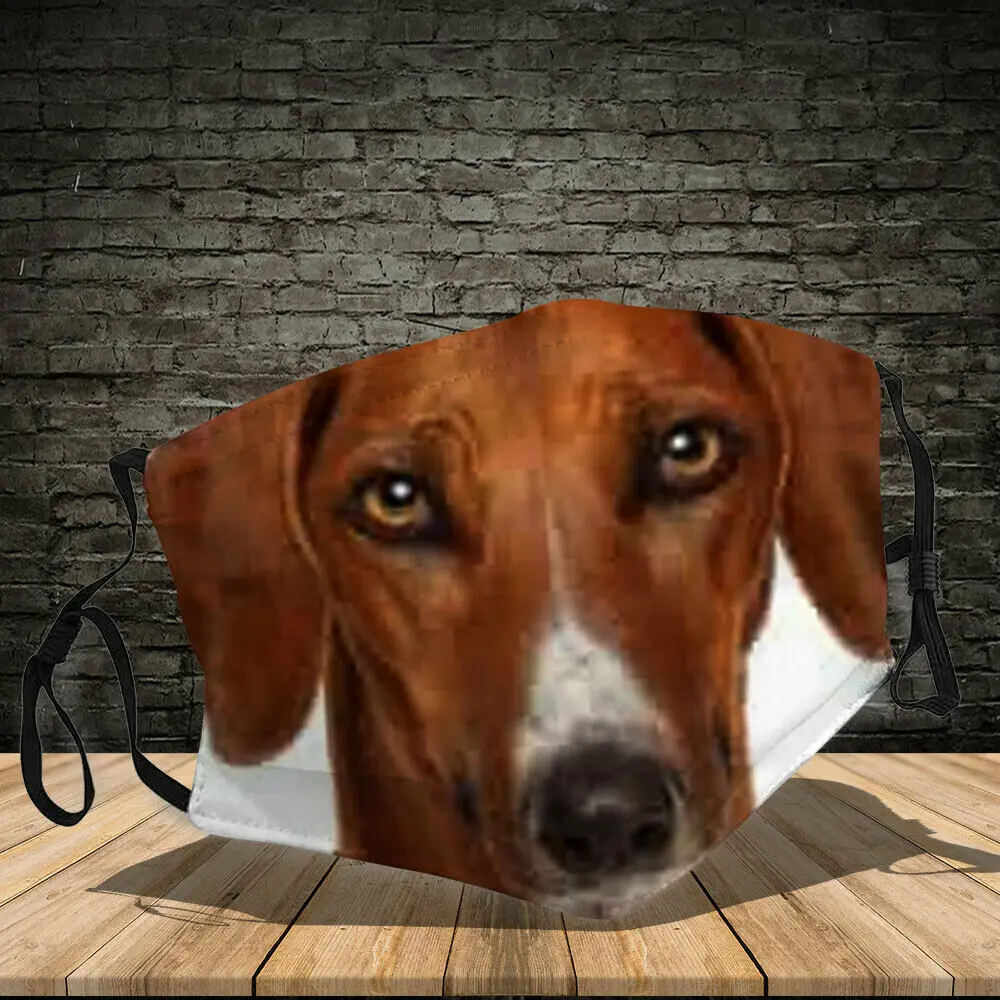 

Unique Azawakh Face 3D Printed Fashion Dog Lovers Gift Mouth Covering Washable Reusable Fabric Face Mask with Filter