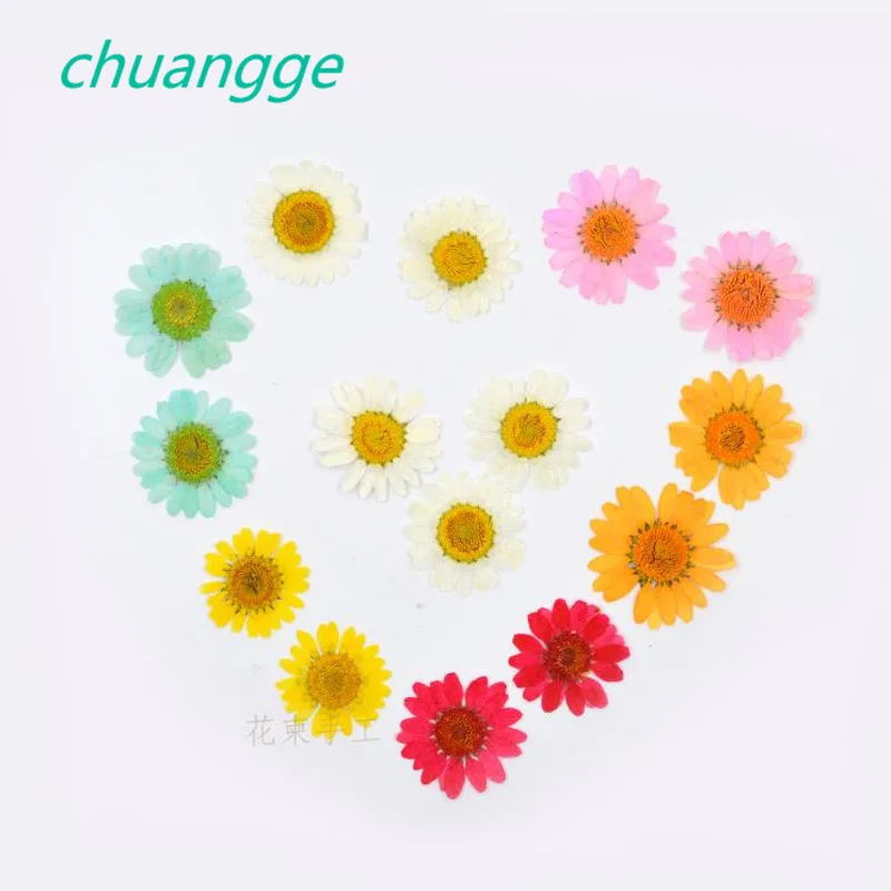 Хрустальная Хризантема сделай сам Цветочная карта ручное тиснение капля клей