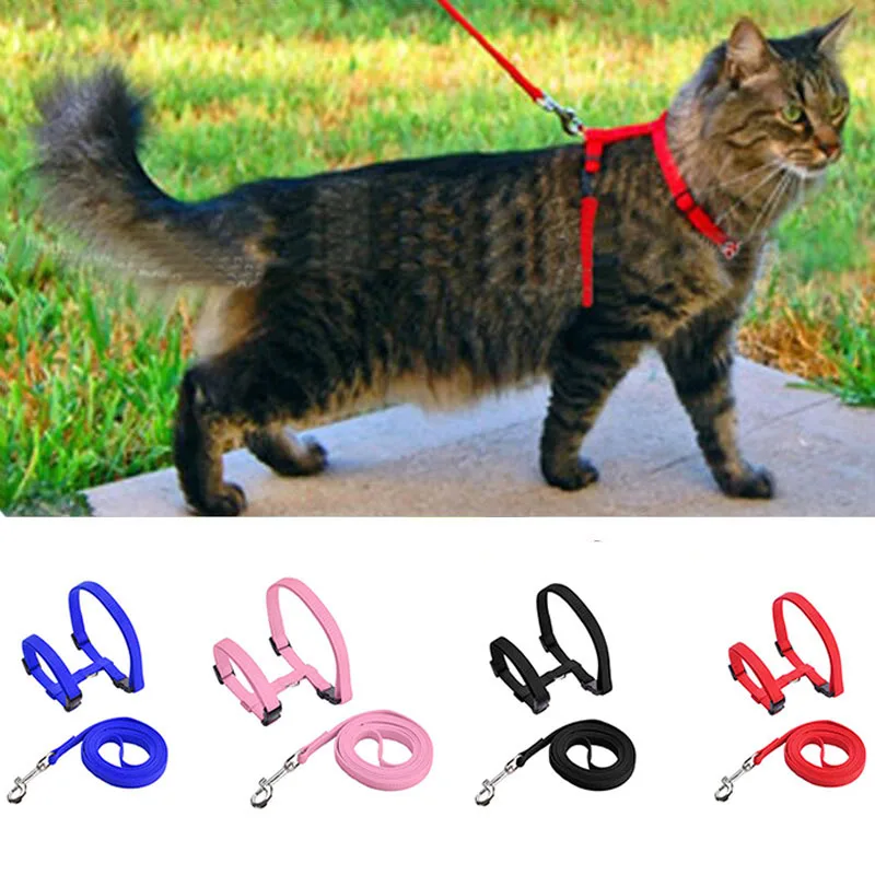 Dog Cat Collar Harness Leash Adjustable Nylon Pet Traction C