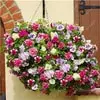 

100granule/bag Hanging Mixed floresling plant for home garde