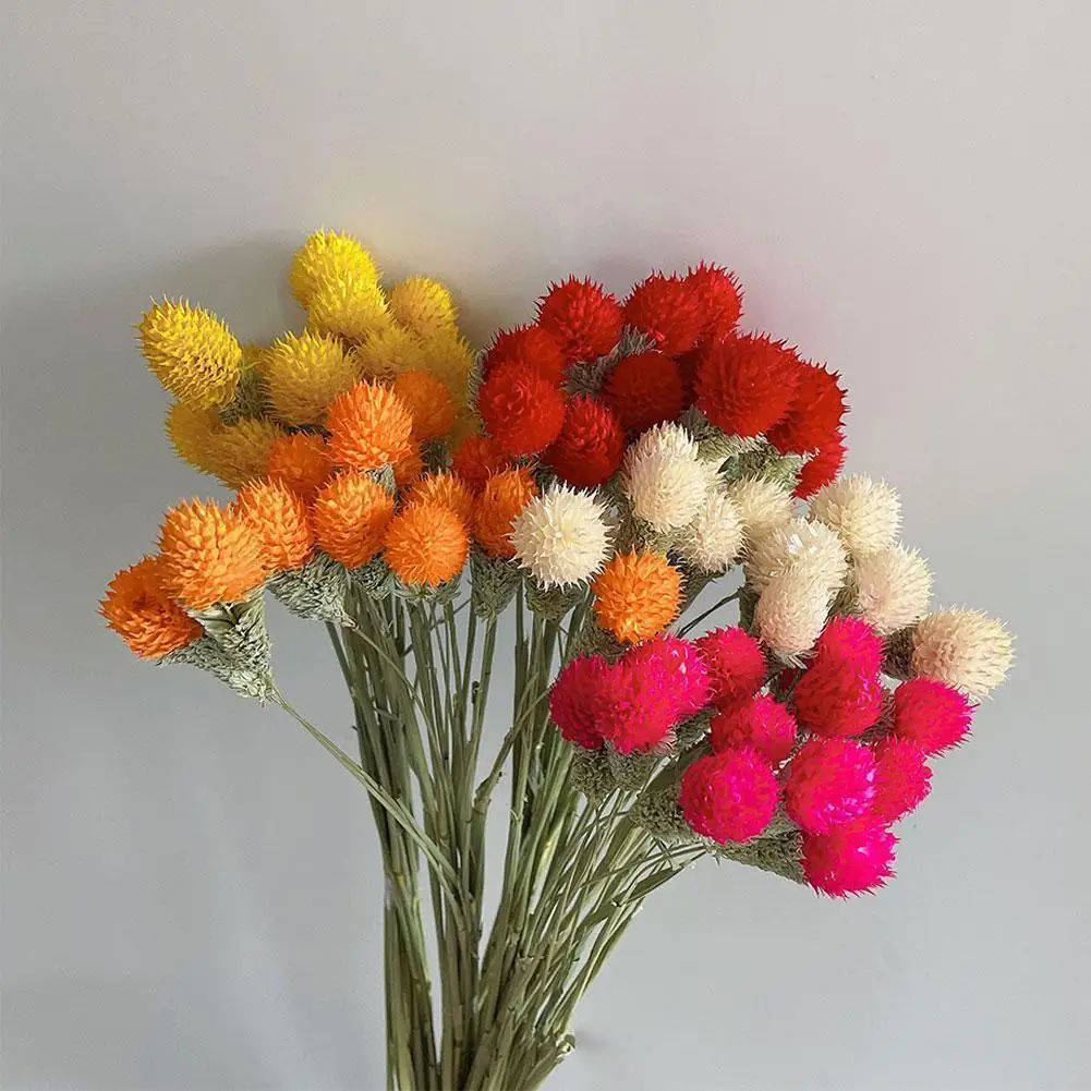 

15 Pieces Of Dried Flower Amaranth DIY Bouquet Display Small Fresh Home Decorations