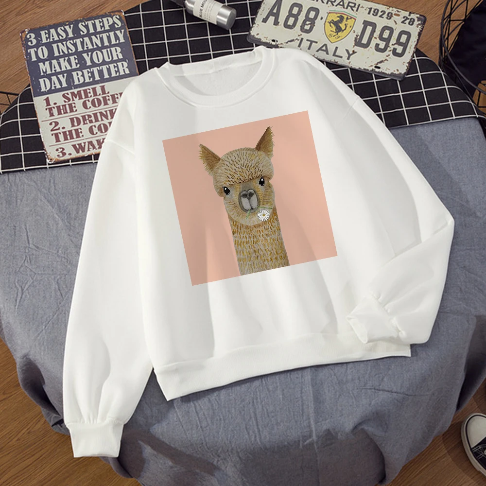 

Cute and Funny Alpaca Printed Cartoon Young girl Style Hoodies Winter Indoor Gym Sweatshirt High Quality Warm Hoodie