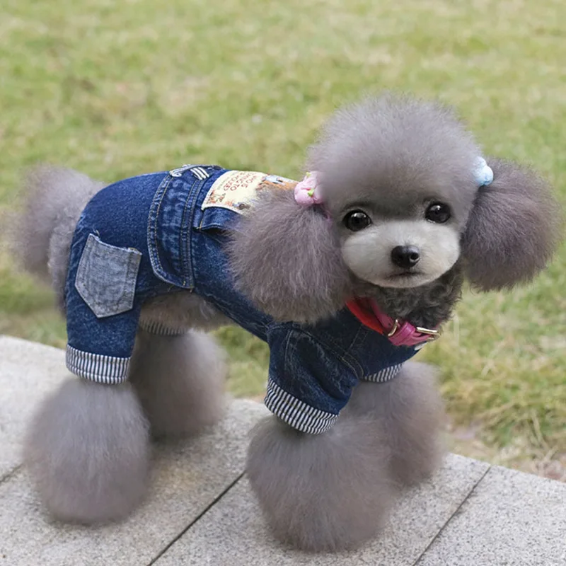 Одежда для щенков осенняя и зимняя одежда собак домашних животных Тедди бишон