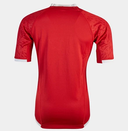 

2020/2021 British&Irish Lions Rugby Pro Jersey Sport Shirt S-5XL