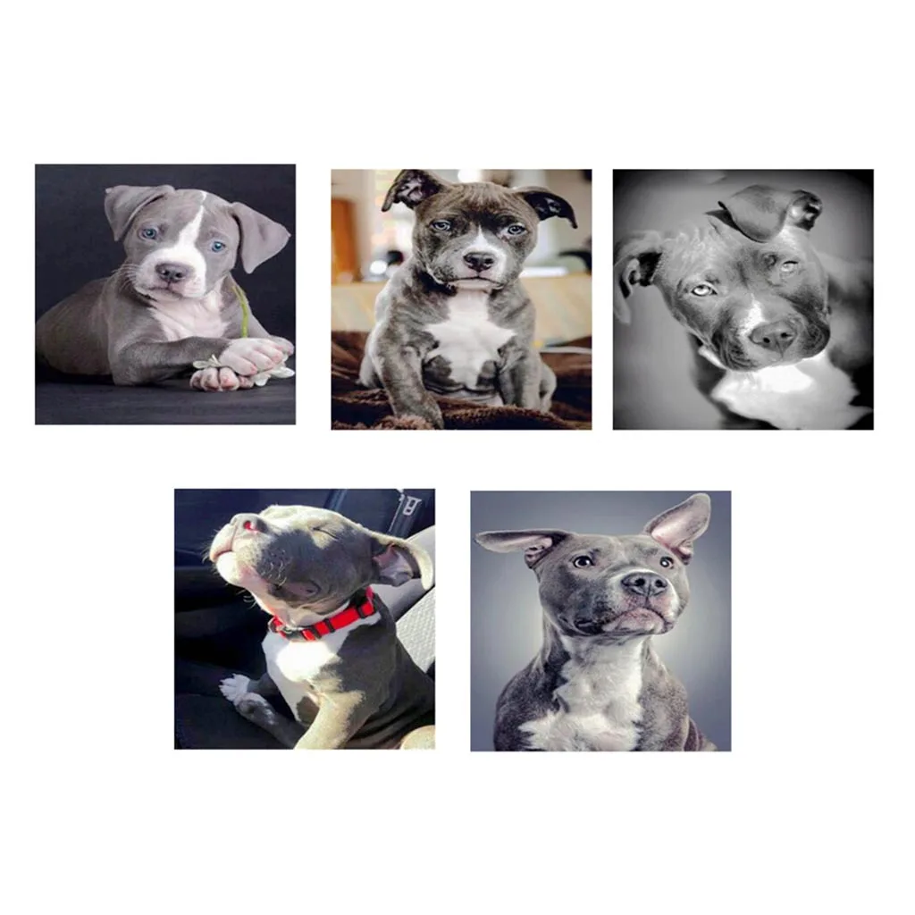 

5D DIY Diamond Painting Complete Set of Animal Dog Series Cross-stitch3D Mosaic Painting Room Decoration Diamond Embroidery Gift