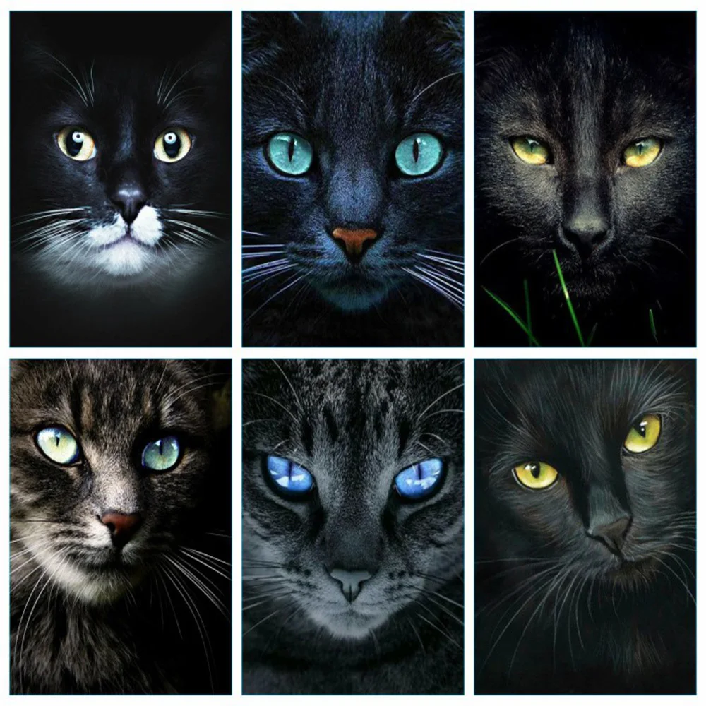 

Алмазная 5D Вышивка Huacan, мозаика с изображением черного кота, полная выкладка, животное для украшения гостиной