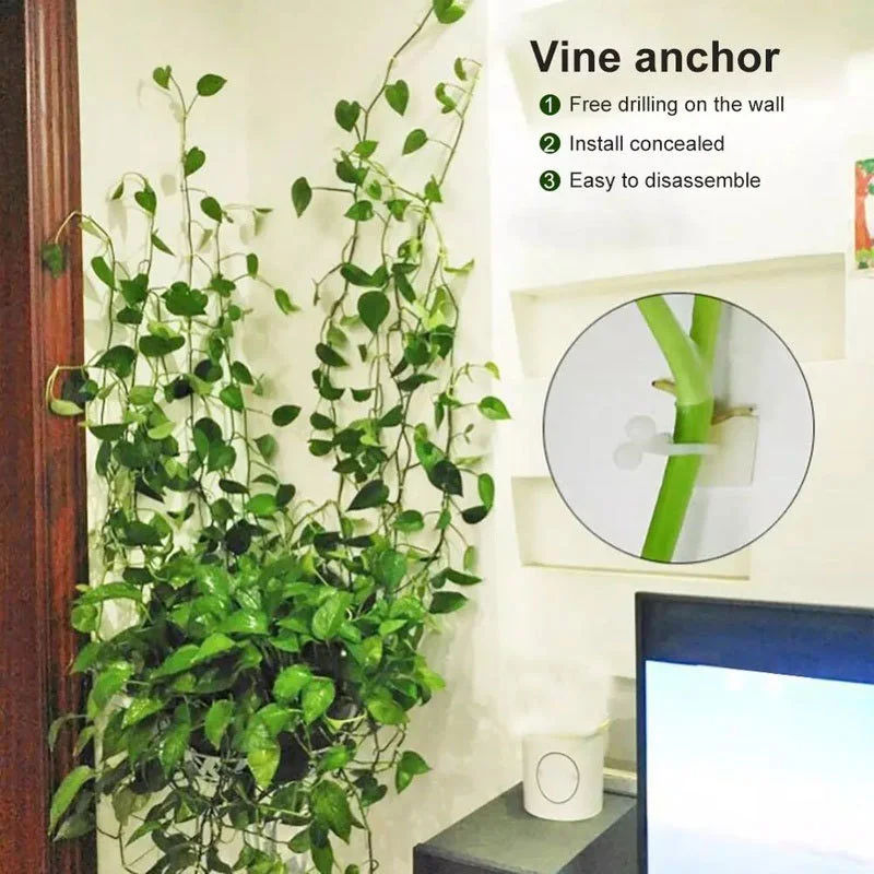 Зажим настенный ротанговый зажим для подъема растений фиксированная Пряжка 10 шт.