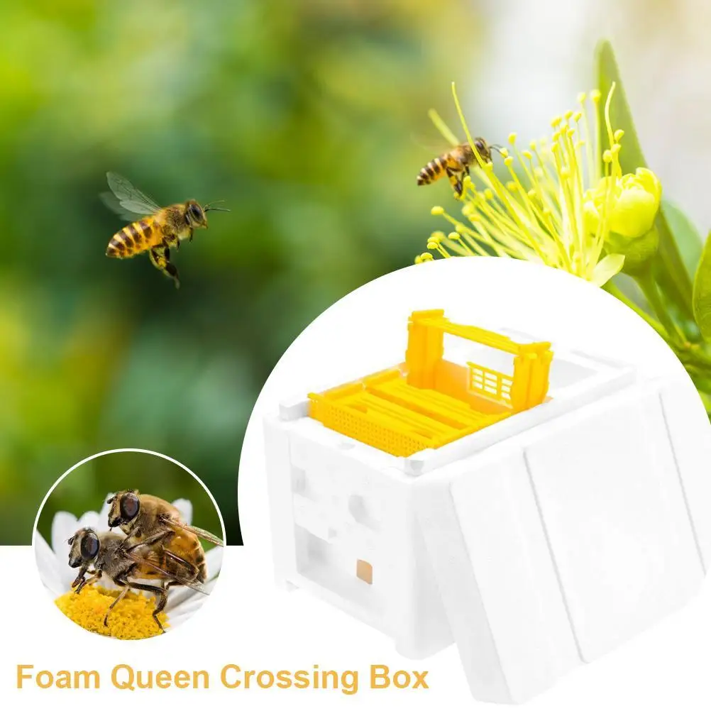 

Queen Bee Beekeeping Box Garden Pollination Box Bee Hive Pollination Box Beekeeping Equipment Tool For Beekeeper Supplies