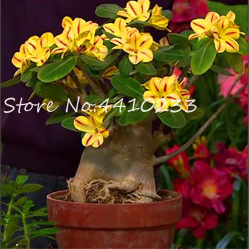 5 шт. искусственный цветок |