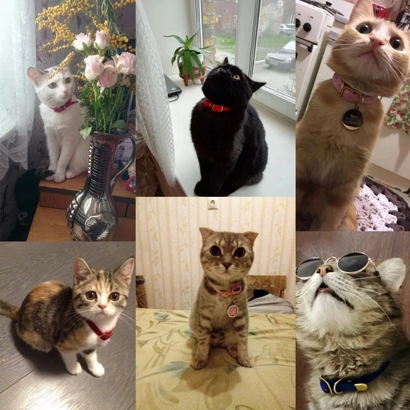 Cat Collar With Bell Safety Collars Puppy Dog For Cats Small Dogs Kittens Solid Pet Chihuahua Products | Дом и сад