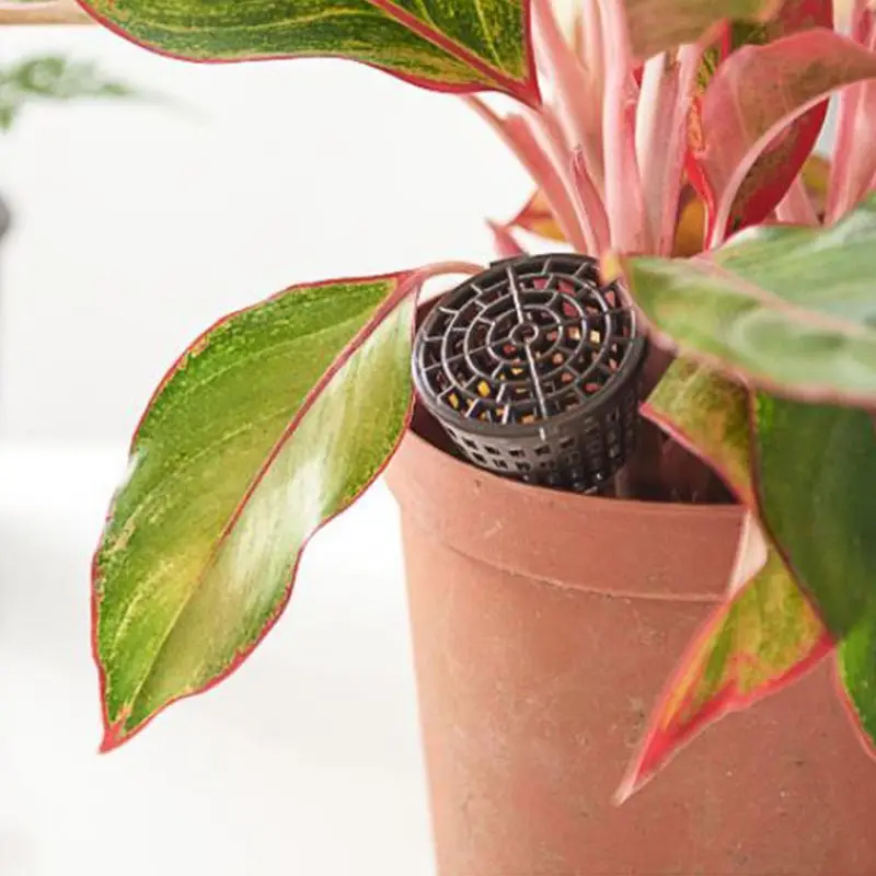 Корзины для удобрений 2020 20 шт. корзина орхидеи дерева бонсай цветочное растение