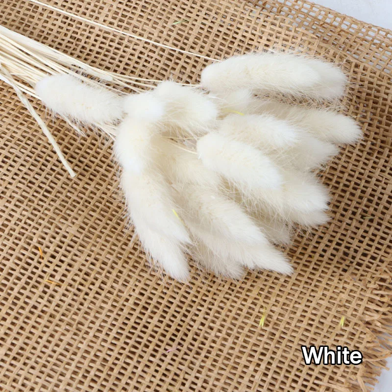 Партия натуральных сушеных цветов зайцехвост трава букет Красочный натуральный