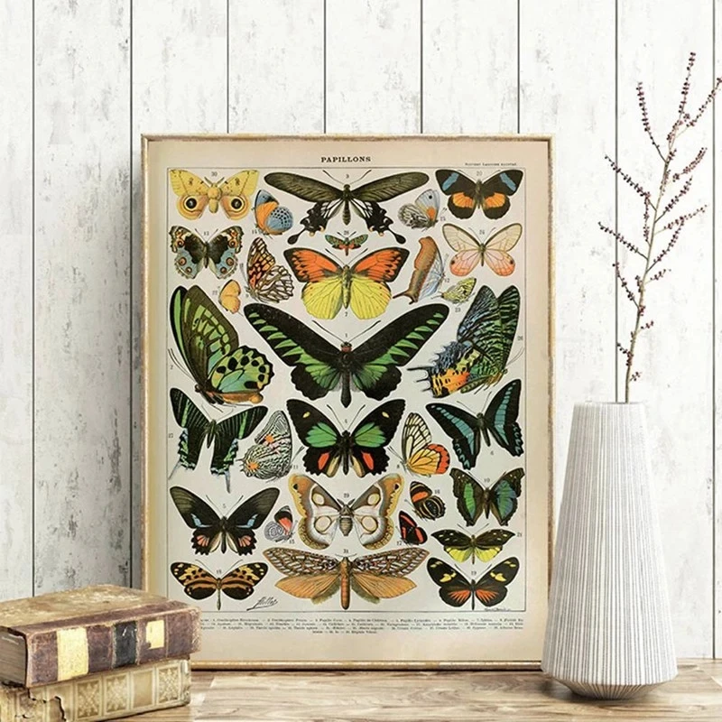 Постер с изображением образцов насекомых, Настенная картина с принтом бабочки, цветка, насекомых, домашний декор, комнатный декор в эстетик...
