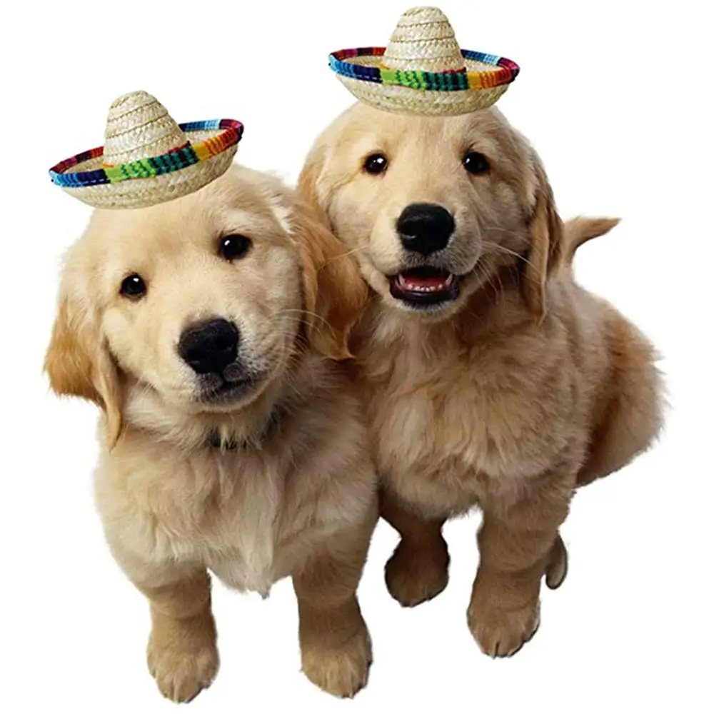 6 шт./лот шапка для собак собаки мини-шляпа домашних животных соломенная шляпа