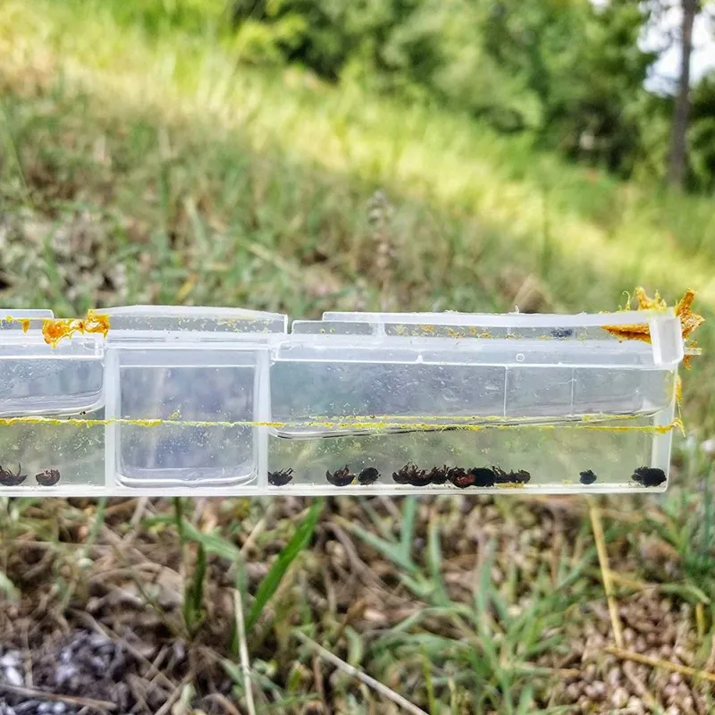 

10pscs / Set Beehive Beehive Trap Reusable Beetle Shockwave Trap Beekeeping Tool