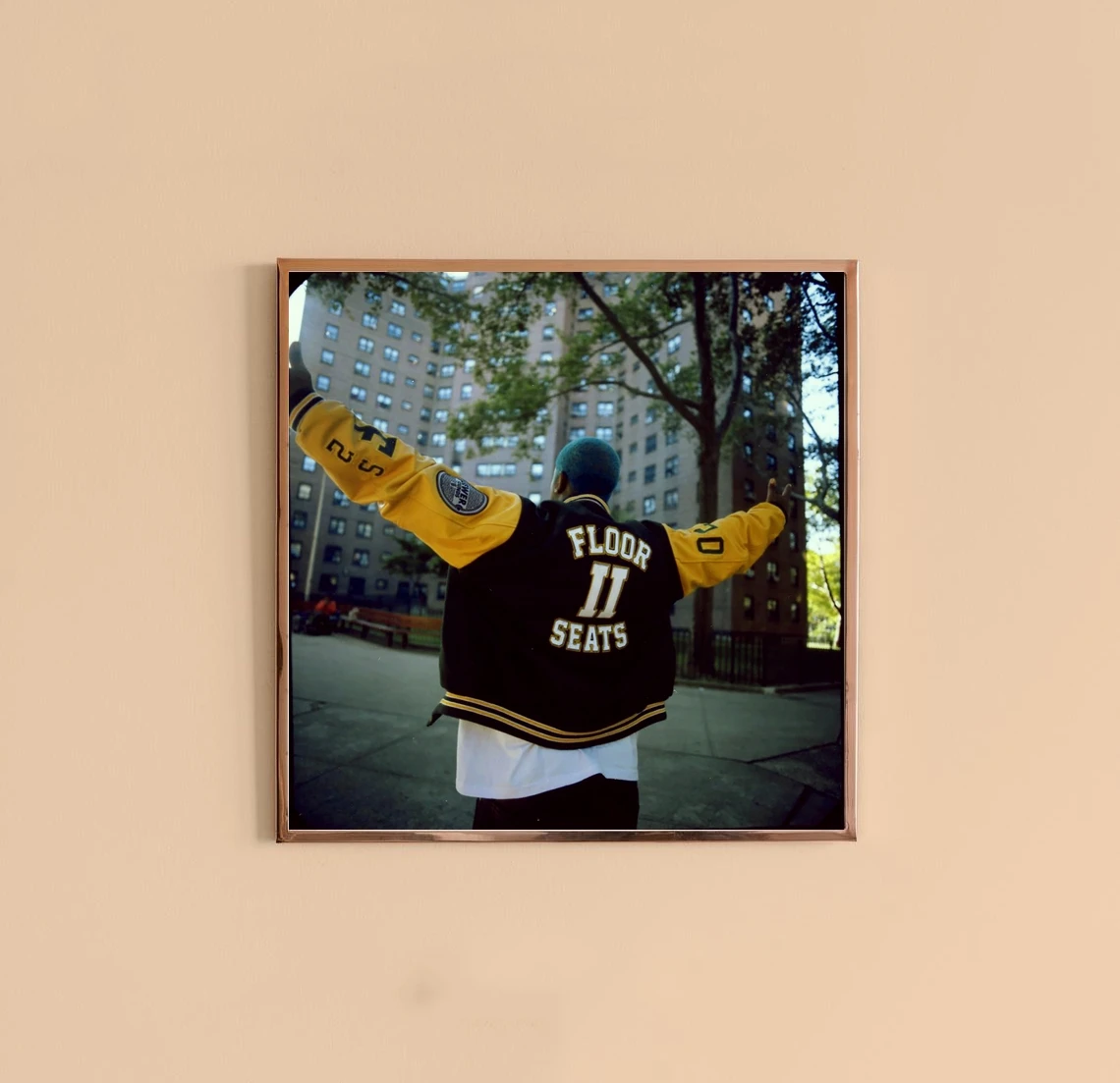 

A $ AP Ferg - Floor сиденья II Обложка для музыкального альбома постер холст печать рэп хип-хоп музыка Звезда Певица