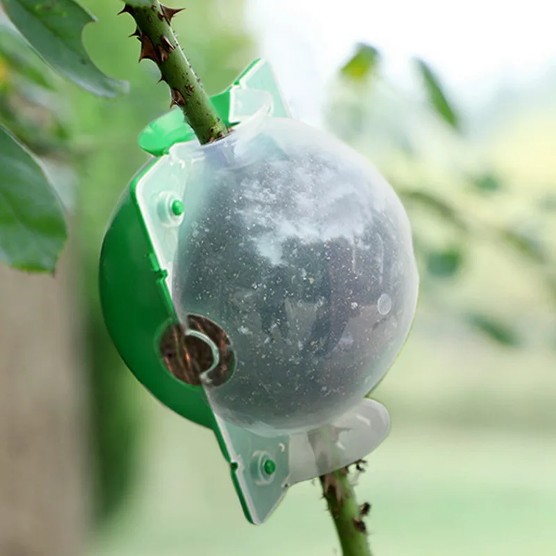 

Hot Selling Plant Rooting Grow Ball Grafting Rooting Seeds Growing Breeding Box For Home Greenhouse Gardening Hydroponics