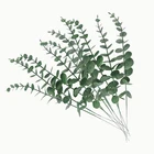 Искусственные ветки эвкалиптовых листьев, 10 шт., искусственный цветок для свадьбы