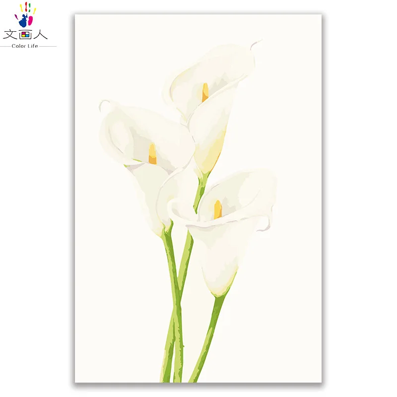 Раскраска по номерам цветы лилии Калла diy картины Рисование на холсте с цветами в