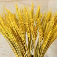 100pcs natural wheat ear flower artificial dried flower diy decoration craft for wedding bouquet home bar decor