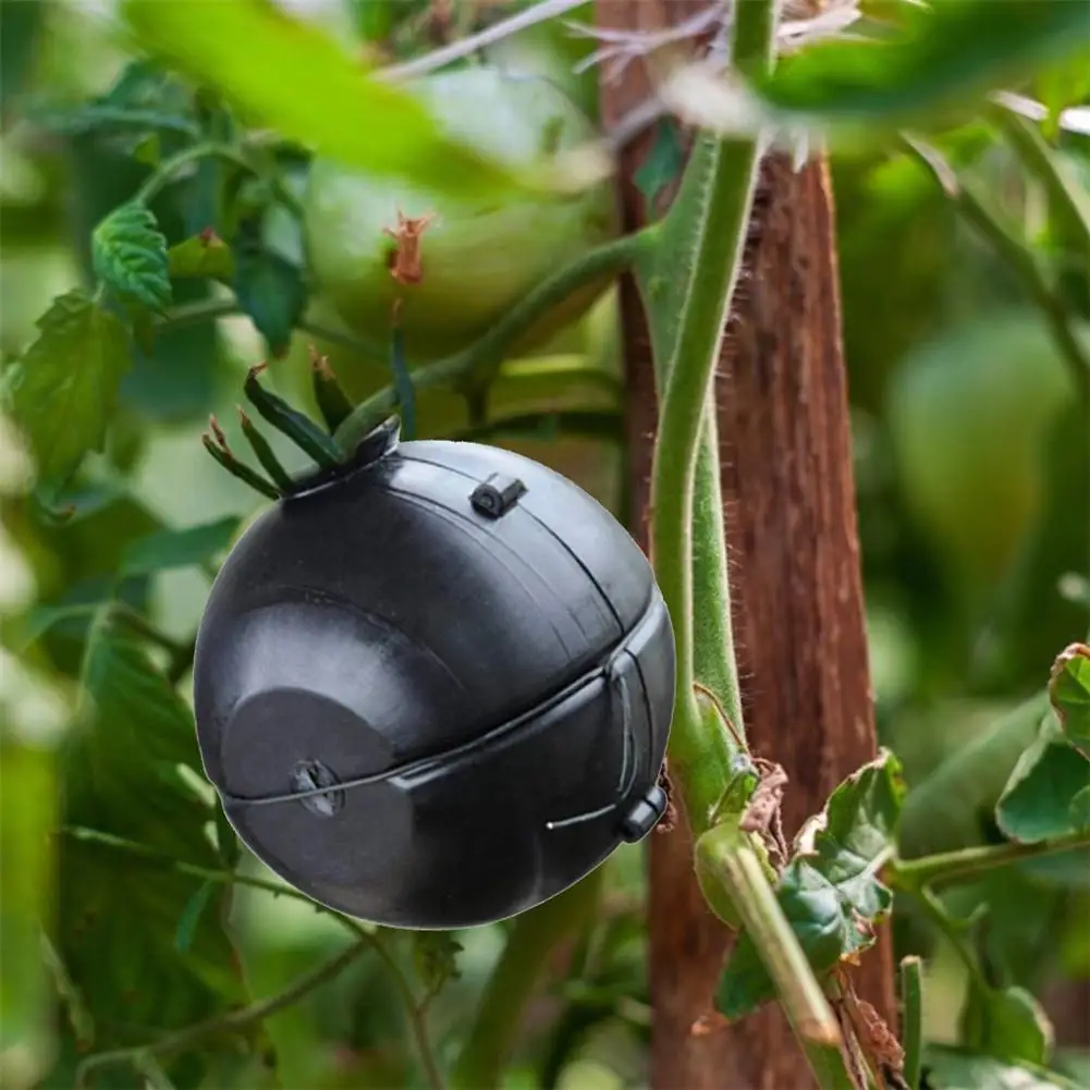 Вспомогательное устройство для укоренения растений 20 шт. коробка прослоивания