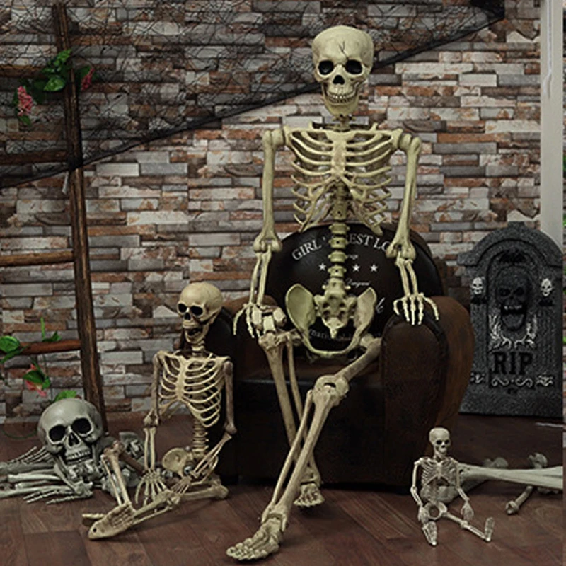 1Pcs Halloween Prop Human Skeleton Full Size Skull Hand Life Body Anatomy Model Decor Miniatures