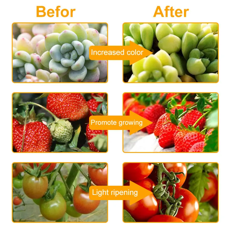 Рисунок 6 - Лампа для растений полного спектра