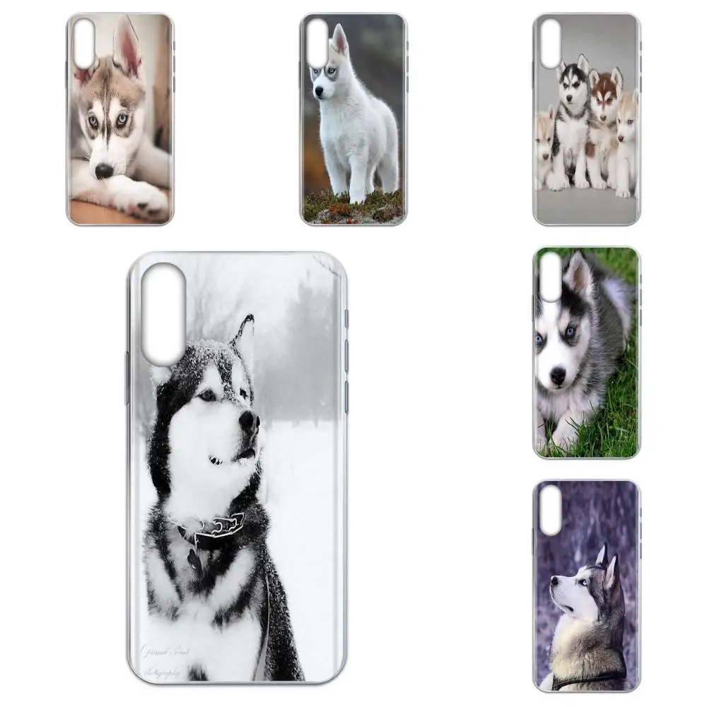 Мягкий чехол для Huawei Nova 2 V20 Y3II Y5 Y5II Y6 Y6II Y7 Y9 G8 G9 GR3 GR5 GX8 Prime 2018 2019|Бамперы| |