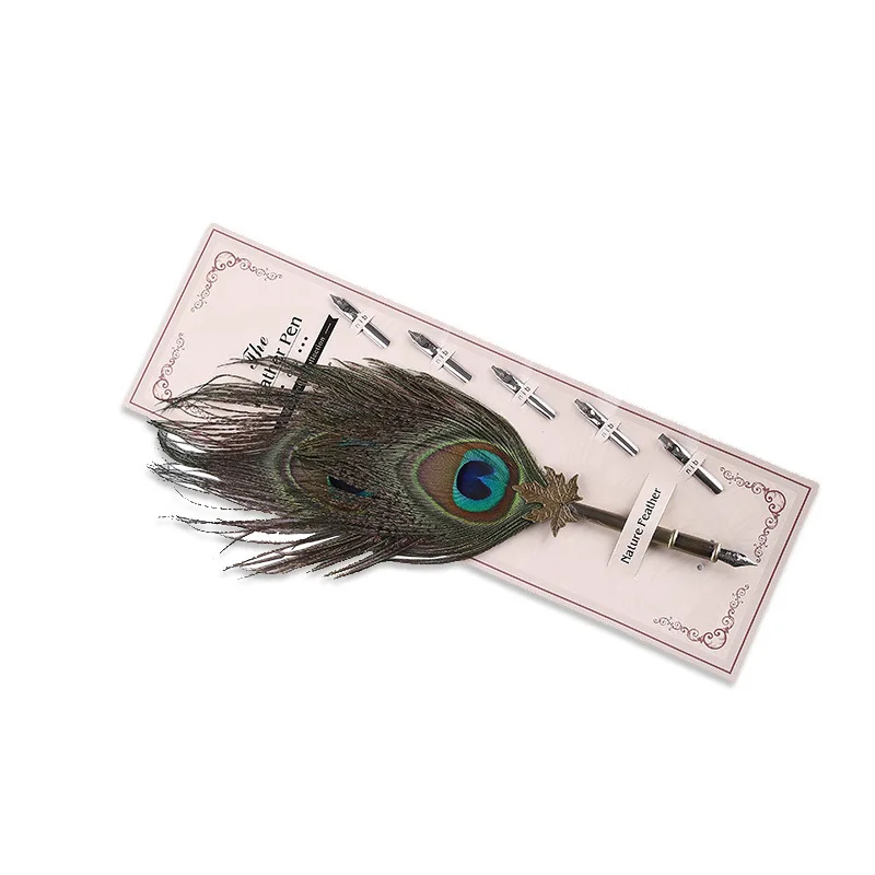 Ручка перьевая с 5 наконечниками в подарочной коробке 1 комплект | Канцтовары для