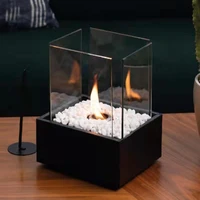 Glass Indoor Bio Kamin Stove Outdoor Table Fireplace Ethanol Tabletop Fire Bowl Pot