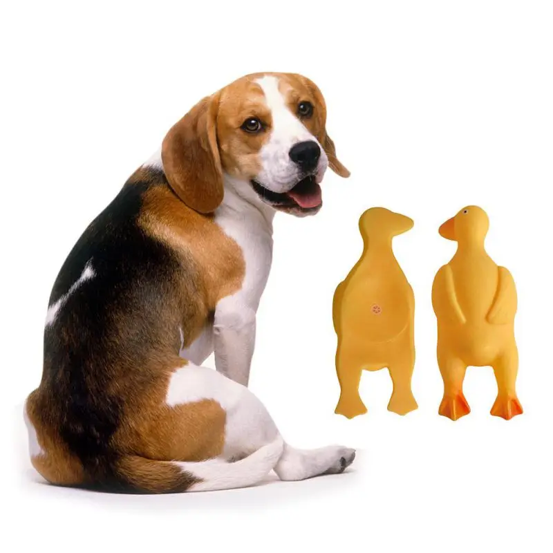 

Dog Squeaky Toy Dog Toy Bite Resistant Bird Chew Toy Rubber Pigeon For Large Dog Puppy Teeth Cleaning Molar Toy Pet Accessories