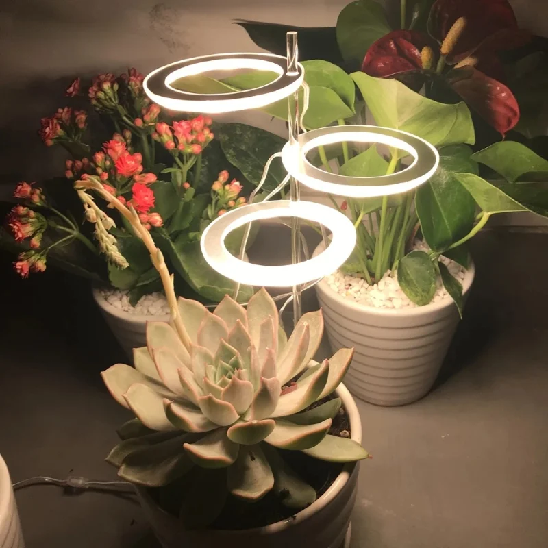 New Product LED Angel Ring Plant Growth Light Indoor Full-spectrum Succulent Plant Fill Light Intelligent Timing Growth Light