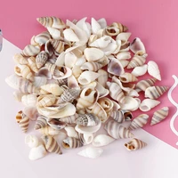 20gbox mix natural sea shells conch beach ocean nautical home decor craft diy fish tank aquarium decoration embellishment