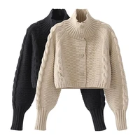 korean version of the turtleneck sweater women 2021 autumn and winter new lazy wind loose twist short knit jacket
