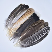 10pcs real natural eagle feathers for decoration turkey pheasant crafts carnival jewelry handicrafts accessories feather decor