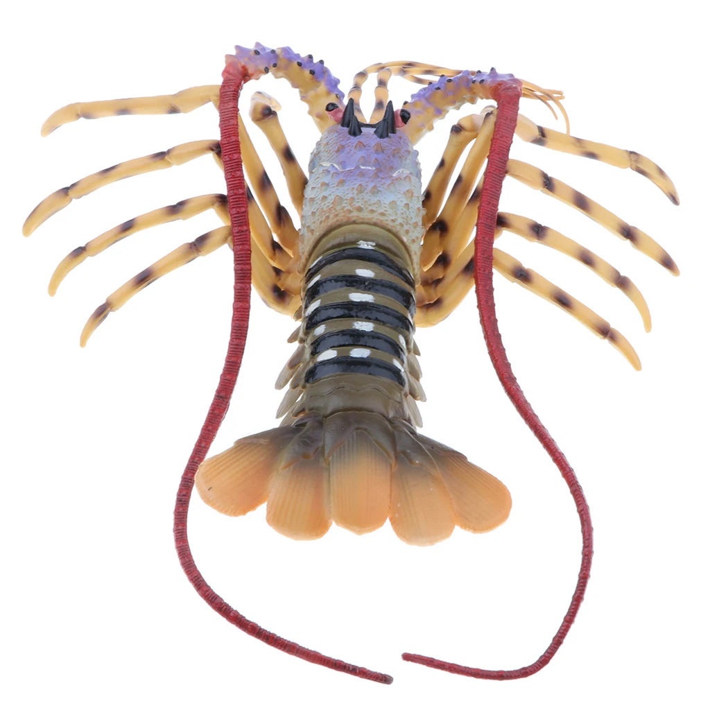 

15 Inch Lobster Model Marine Action Figure, Science Educational Toy for Kids, Collectible Home Decor