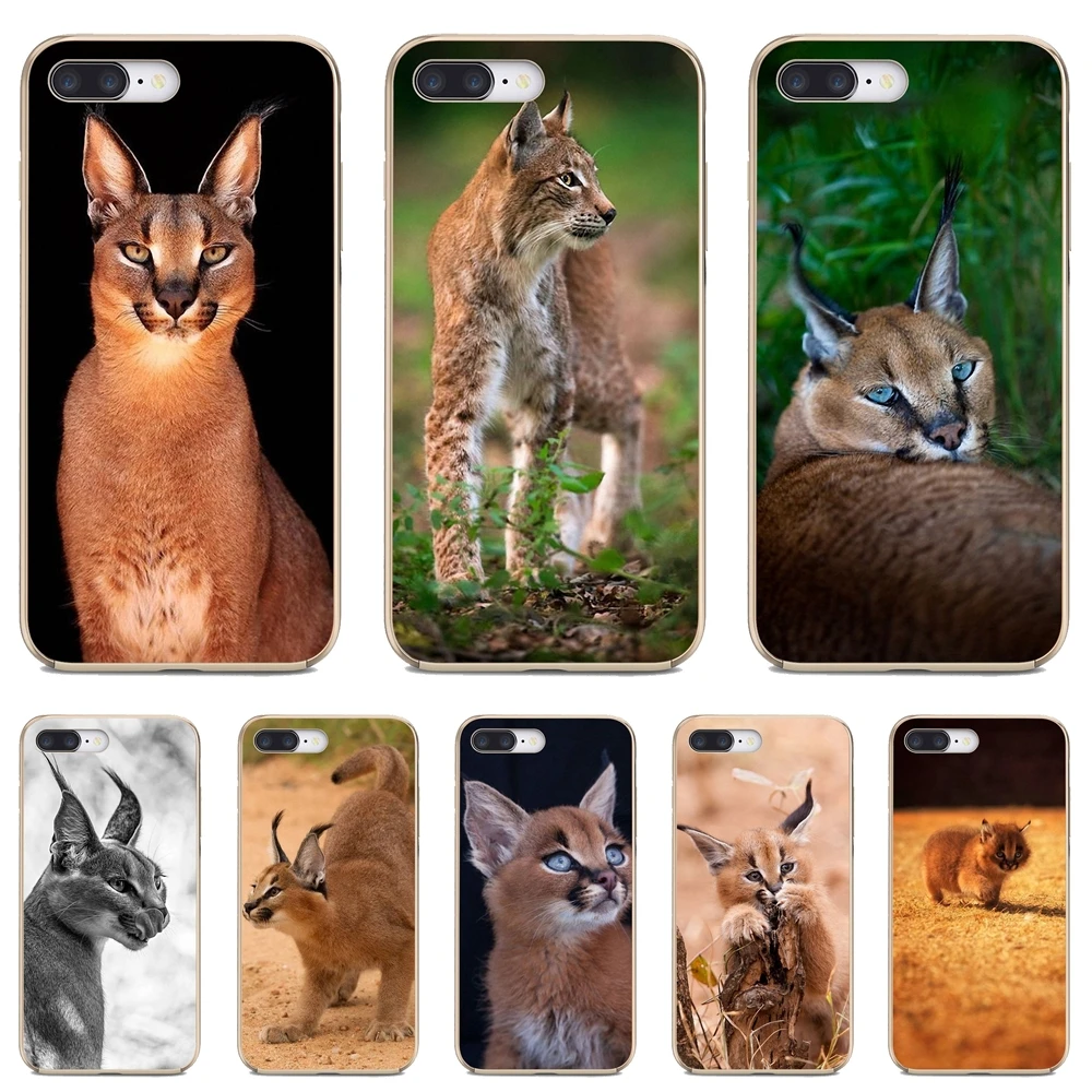 Плакат с изображением котят африканского рыська, каракала на Xiaomi Redmi 2 S2 3 3S 4 4A 5 5A 6 6A 7A 9 9T 9C 9A Pro Pocophone F1 мягкий чехол.
