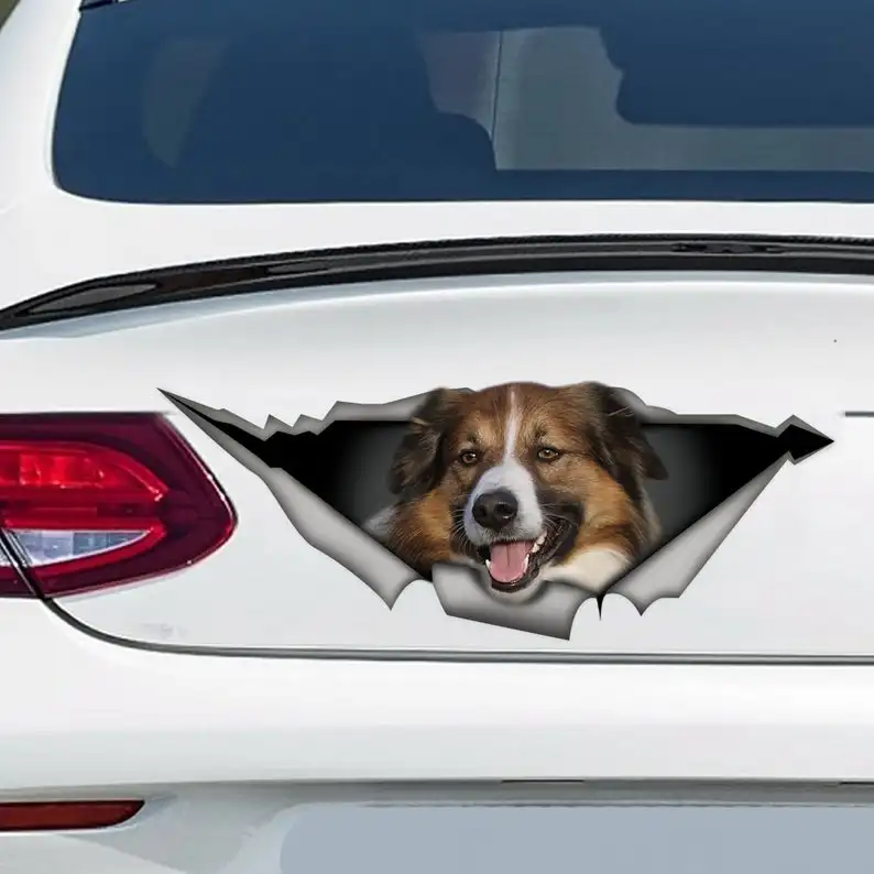 

English shepherd decal, English shepherd magnet, pet car decal, english shepherd sticker