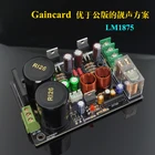 Плата усилителя звука Weiliang LM1875, плата стерео усилителя Gaincard GC, версия LM1875, комплекты для самостоятельной сборки с низким уровнем искажения