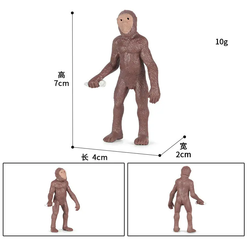 5 шт./компл. Homo erучитс экшн-фигурка человеческая эволюция история твердый ПВХ