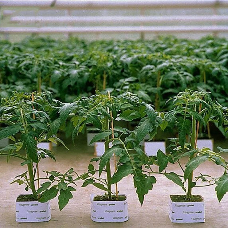 Multifunction Ventilative Practical Planting Soilless Cultivation Rockwool Cubes Hydroponic Grow Mini Blocks Compress Base
